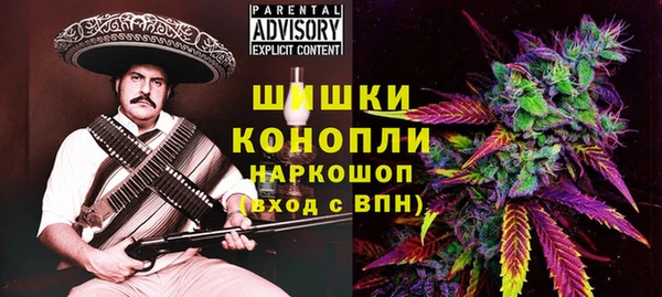 гашик Балахна