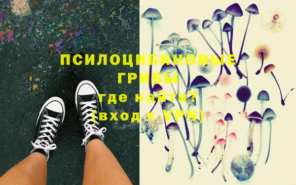 spice Баксан